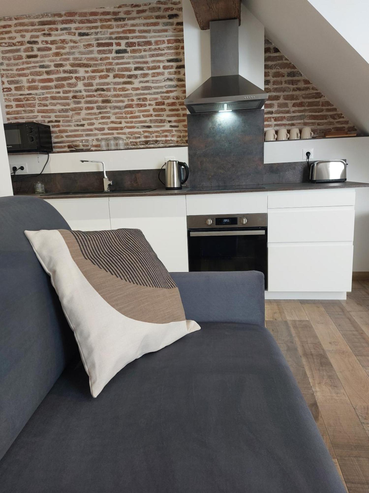 Appartements L'Hirondelle Beaugency Luaran gambar